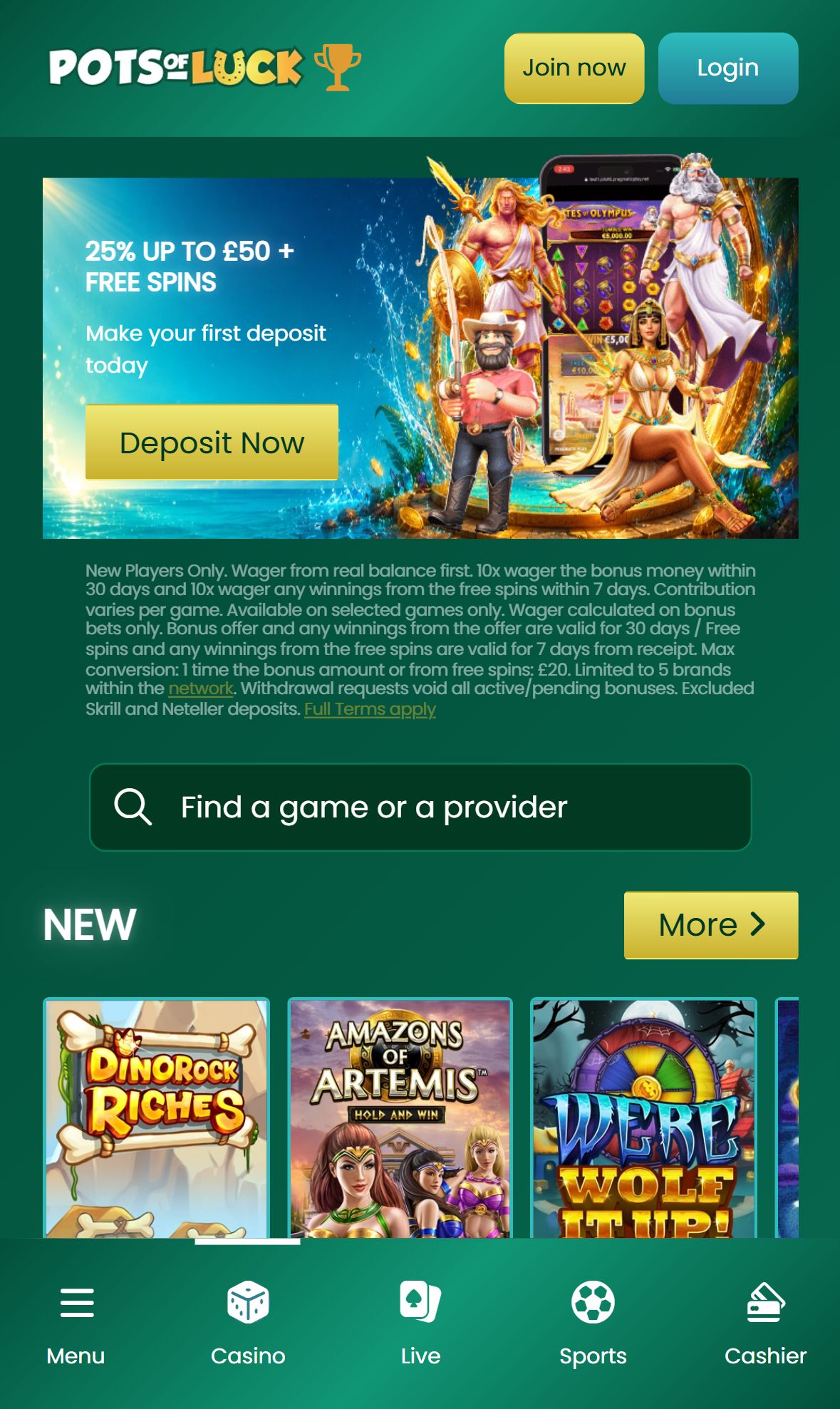 Potsofluck — Homepage (Mobile)
