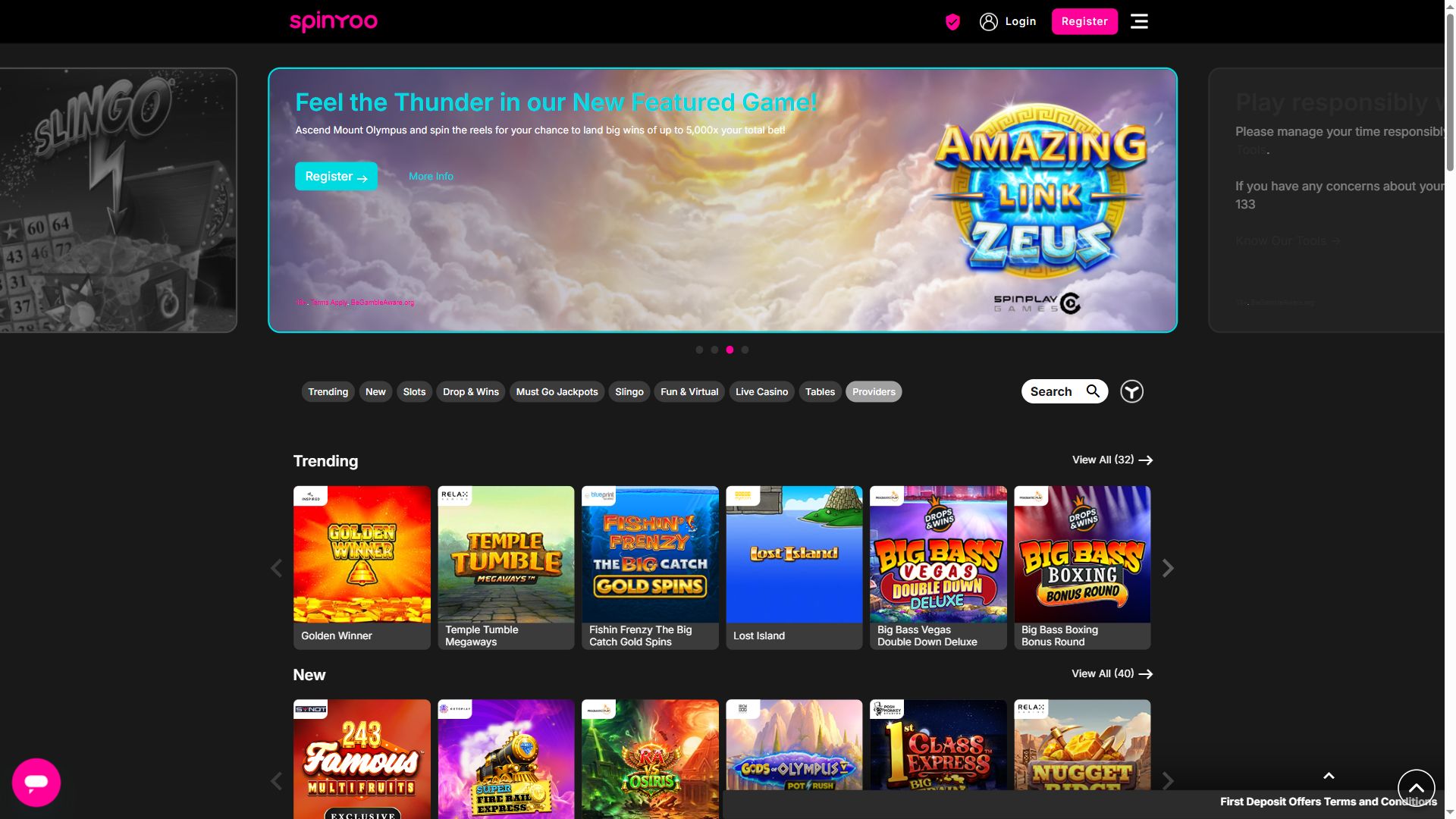 Spinyoo — Homepage (Desktop)