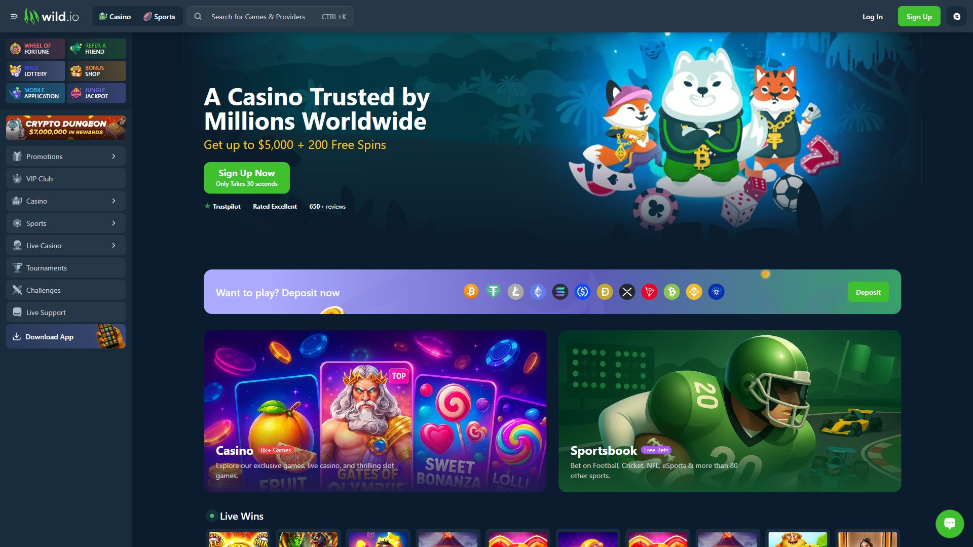 Wild.io — Homepage (Desktop)