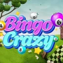 Bingo Crazy